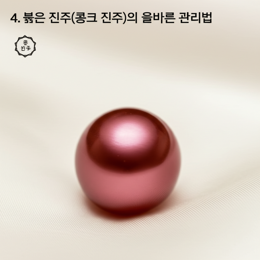 4. 붉은 진주(콩크 진주)의 올바른 관리법
