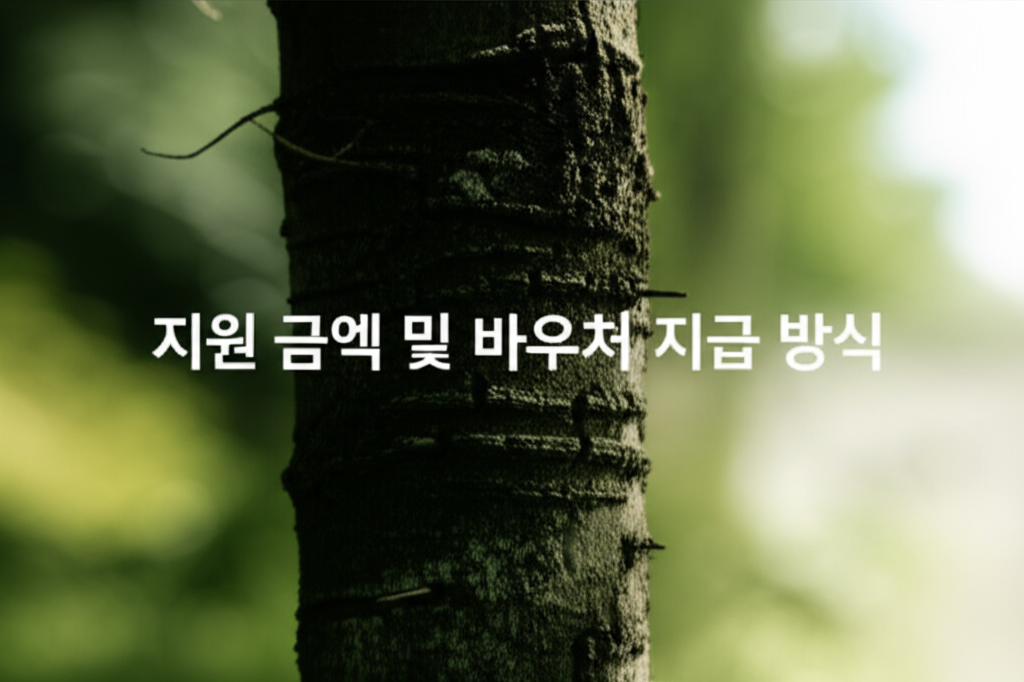 2. 지원 금액 및 바우처 지급 방식