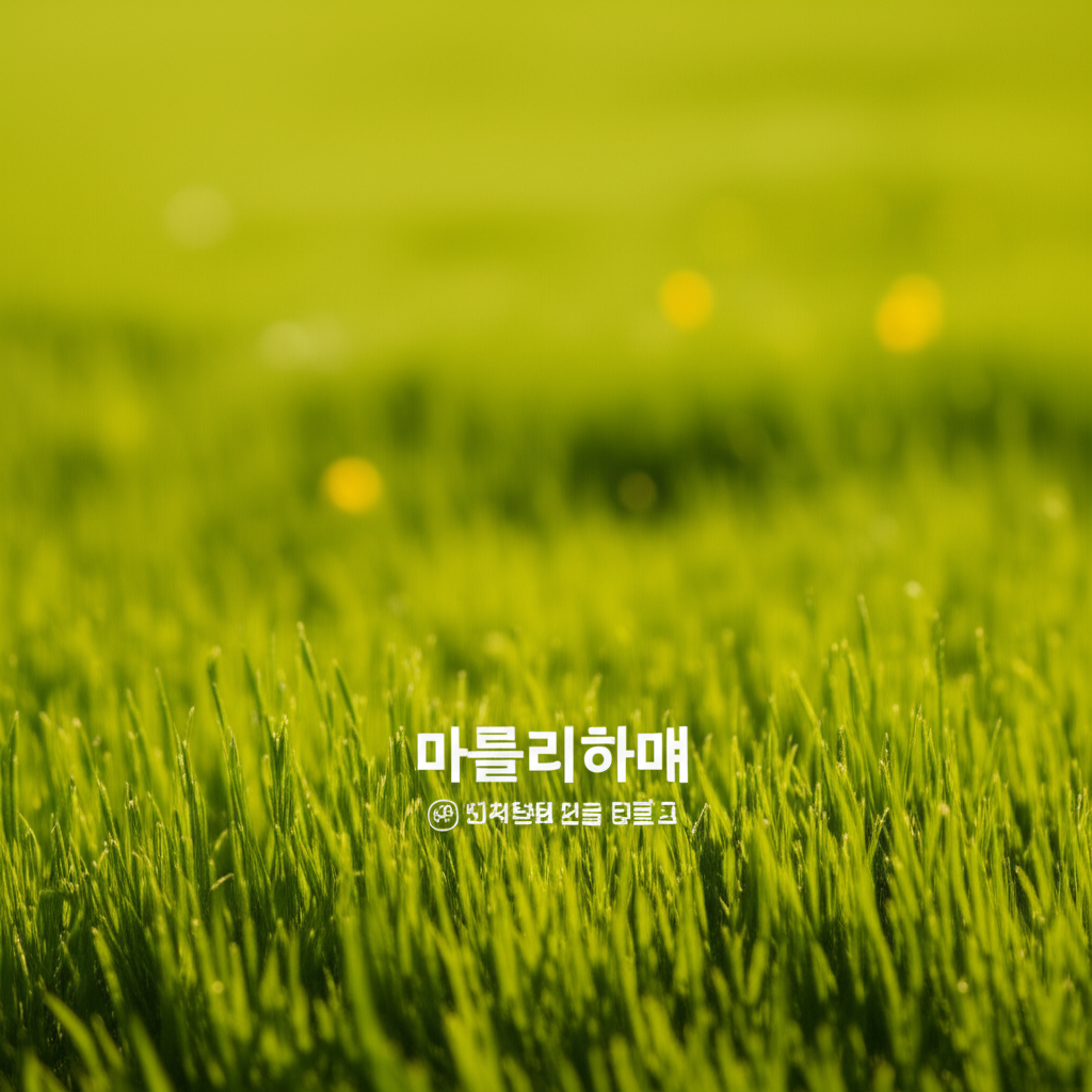 마무리하며